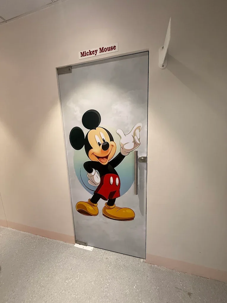 Mickey Mouse door